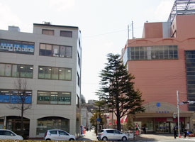 石巻市役所の隣のビルです。